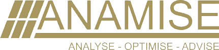 Anamise Logo